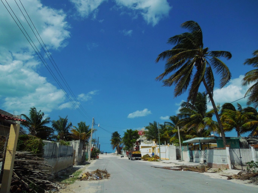 1-progreso-beach-playa-yucatan-beaches-tourist-visit-mexico-palm-tree-photography